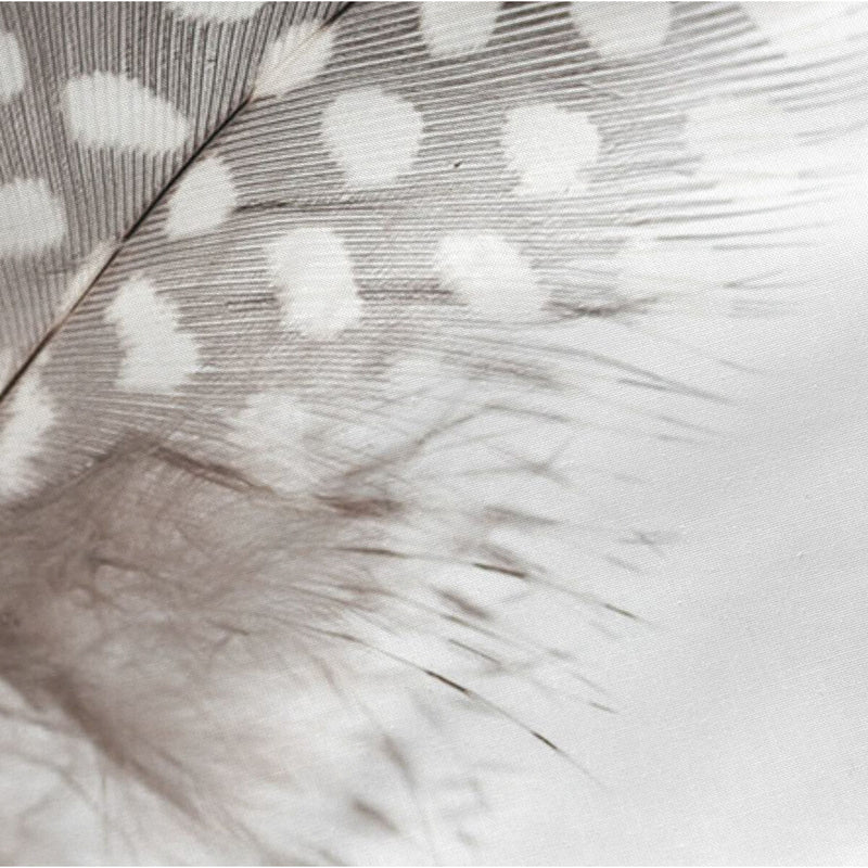 V5H370031A84743F04822FD346C35FB8BD0R5206249P3