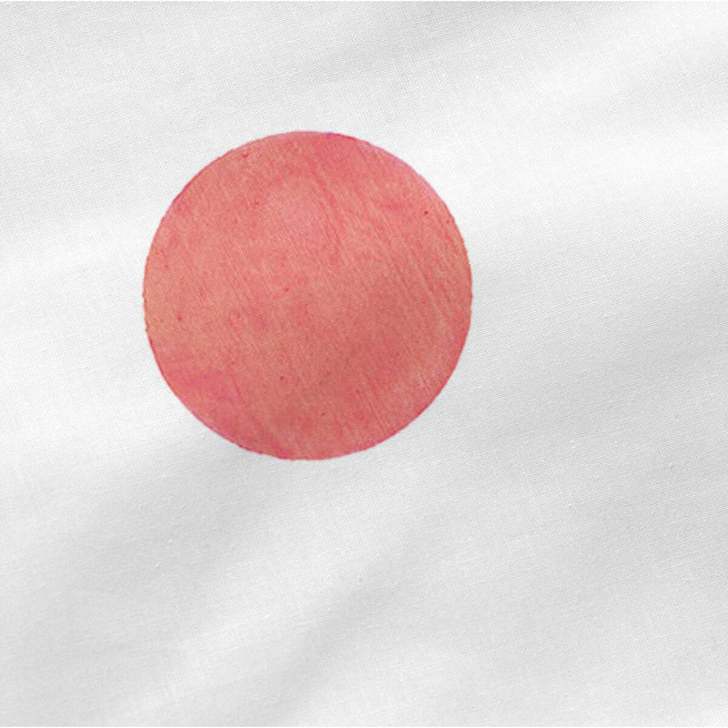 V4HC3B8A3C102F7D744CE453B0476A501BFR4454131P3